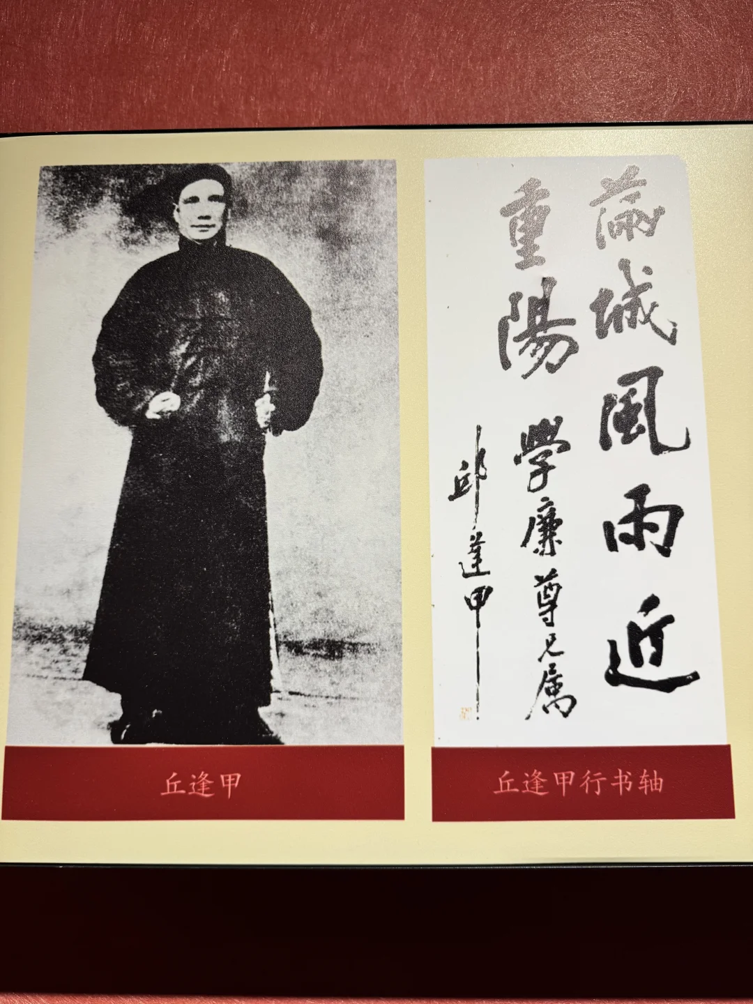 台湾的杜甫，晚清抗日保台第一人