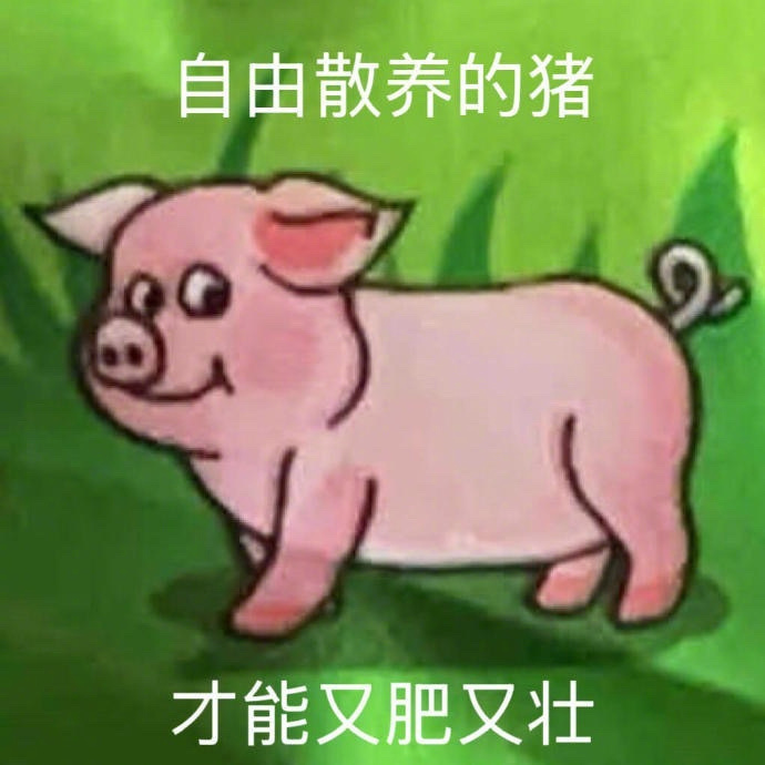 𝐡𝐚𝐚𝐚𝐚𝐩𝐩𝐲･𝐘𝐞𝐞 ✌︎  “ 还以为是情...
