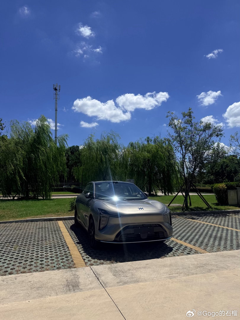公司有优惠所以补一点点就可以每年开新车，太会了。
可惜没有L7，LS6不喜欢，LS8和LS9太大个！ ​