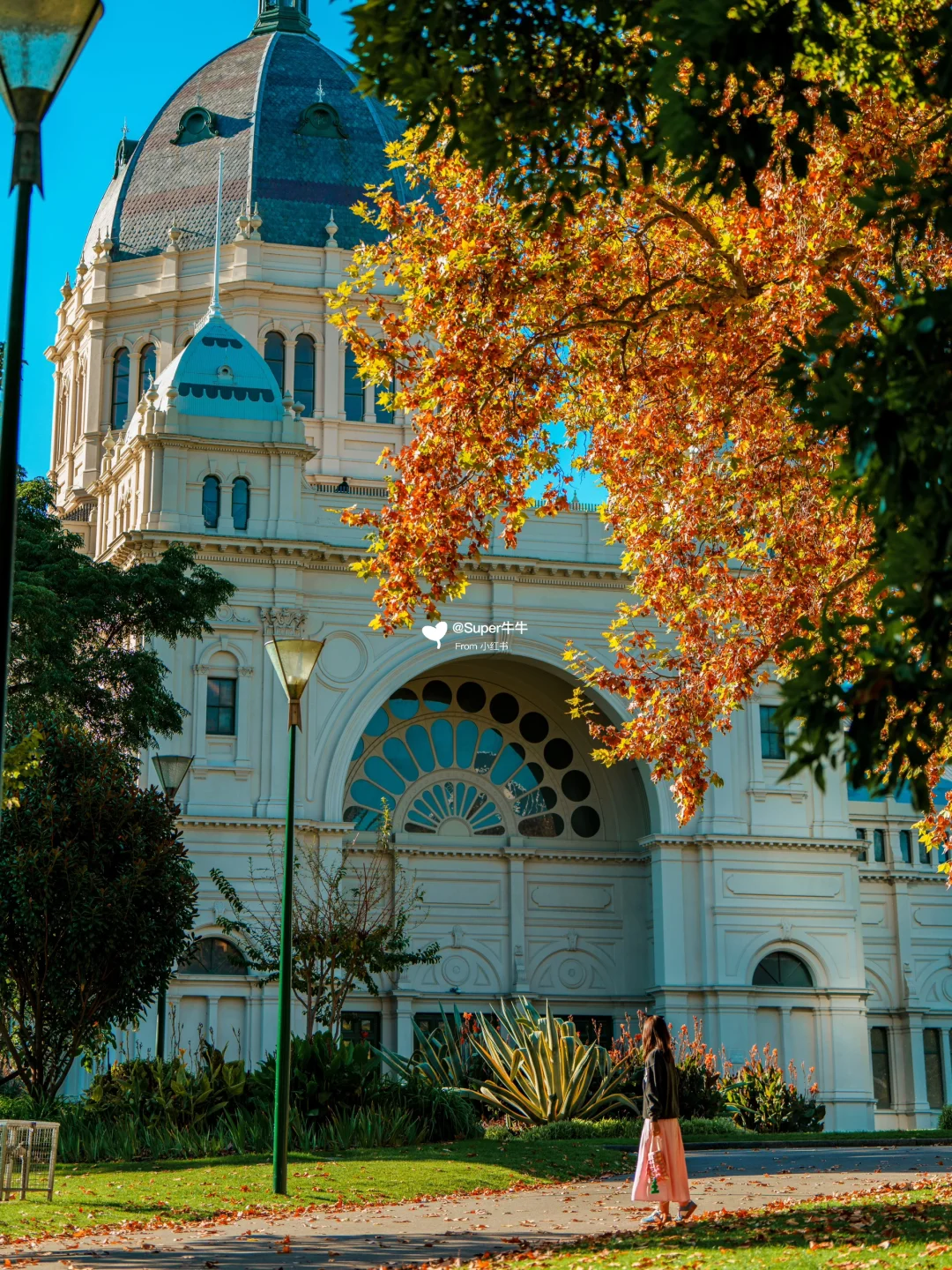 🇦🇺墨尔本卡尔顿花园⛲南半球的浪漫谁懂啊