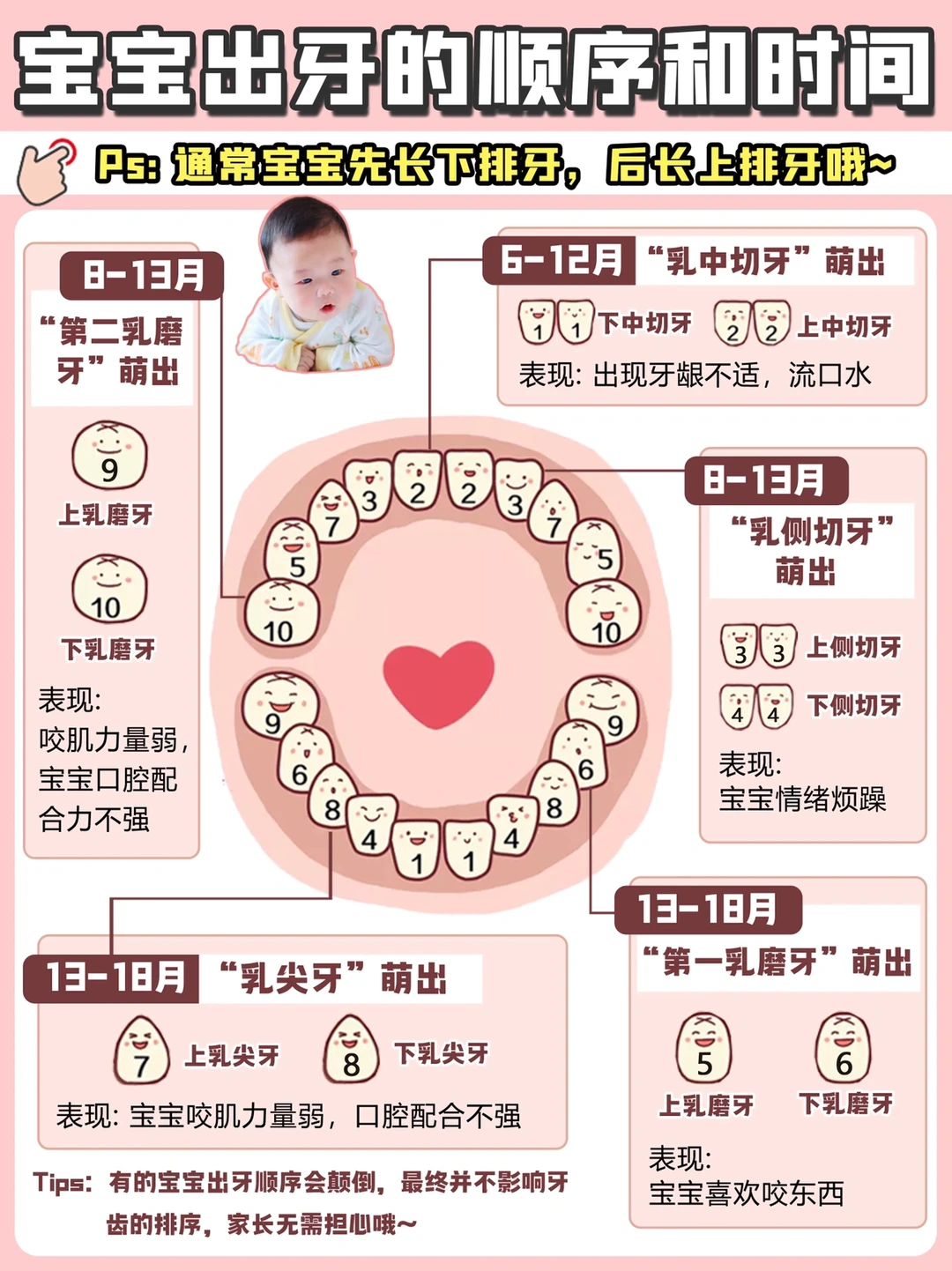 宝宝出牙期干货|症状+顺序＋时间