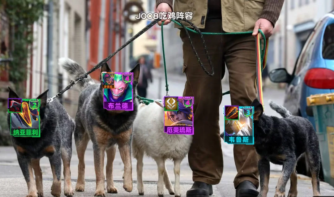一图看懂JOC8吃鸡阵容