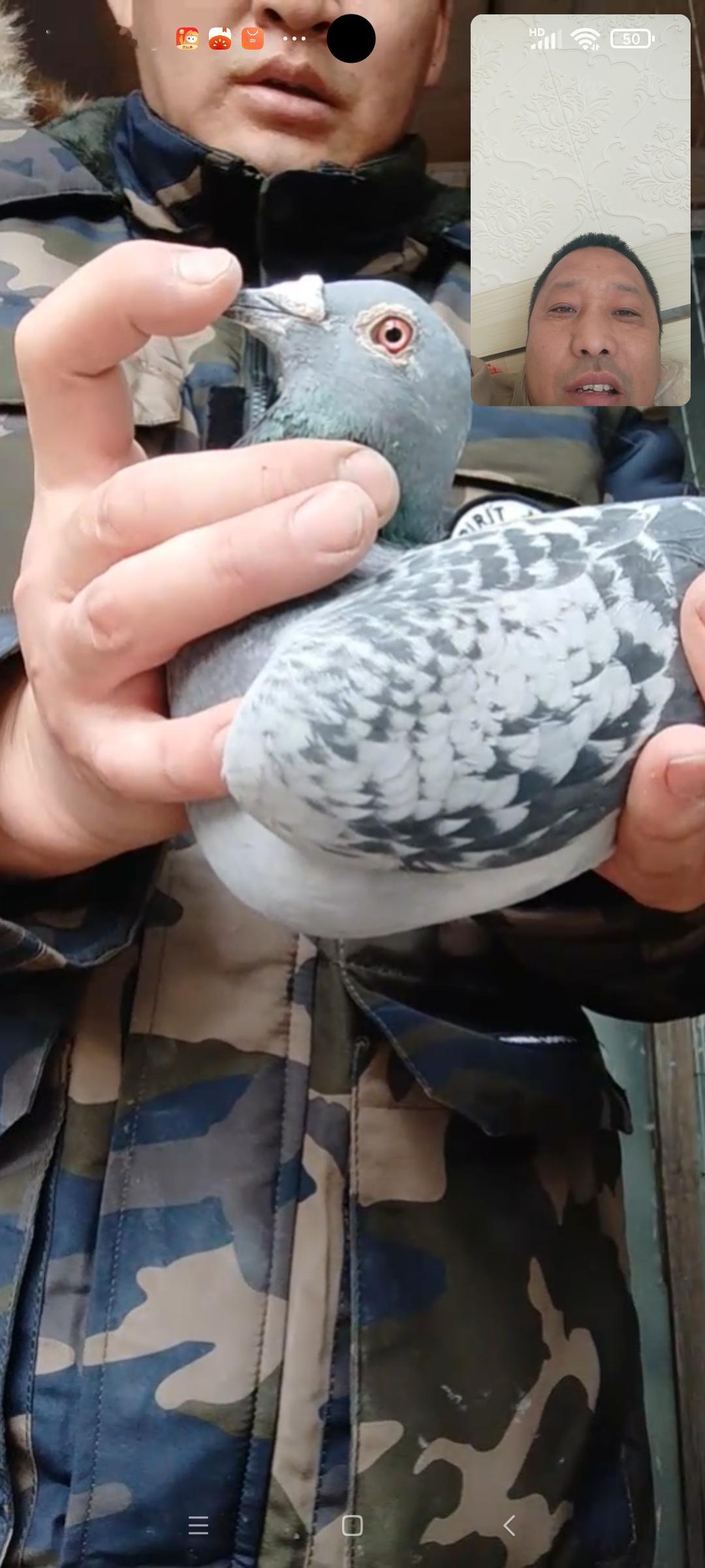 才最适合穿旗袍