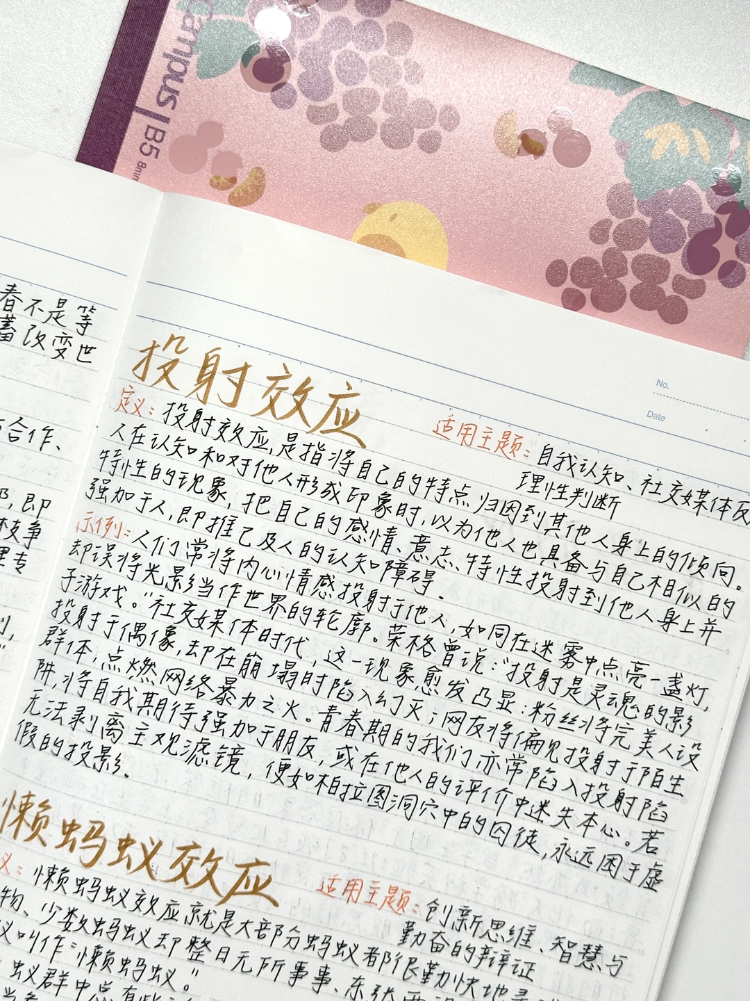 小众作文素材/突破思维瓶颈，开启高分之路