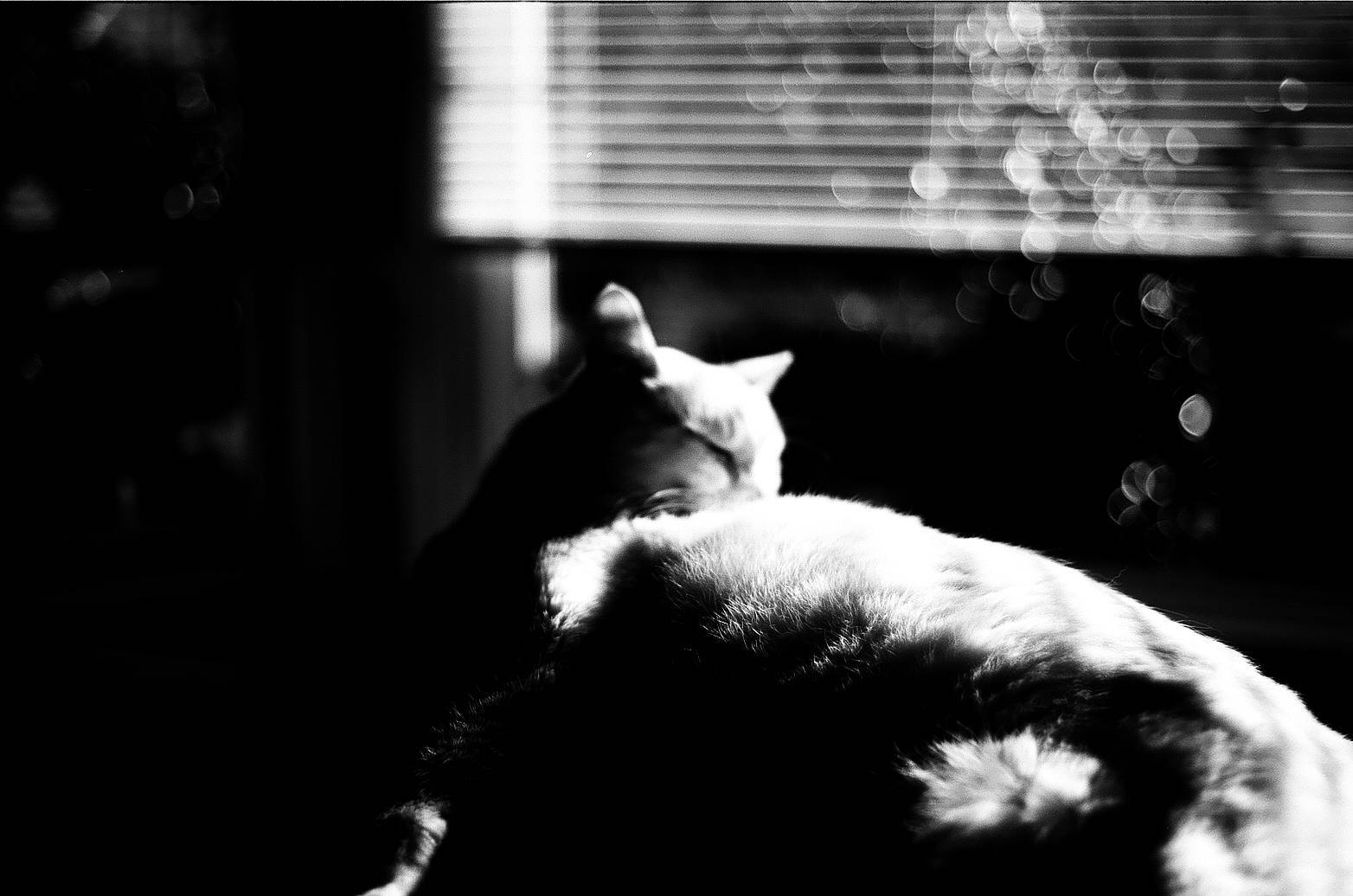 📷：saluda9 ​