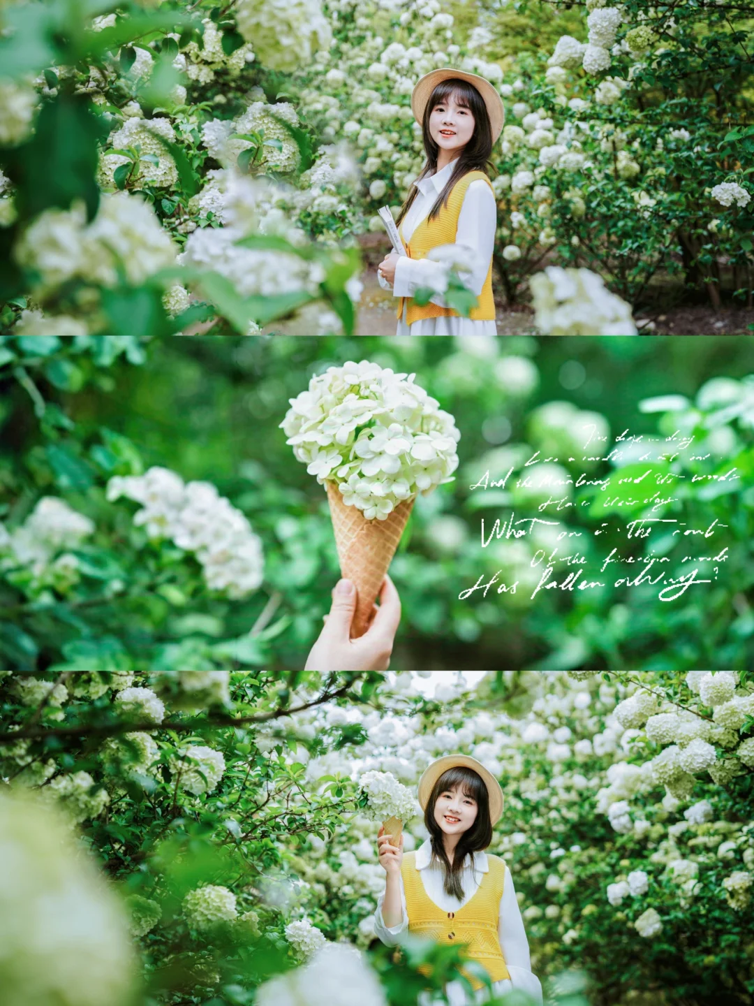 私藏！木绣球避开路人拍照攻略♥附姿势滤镜