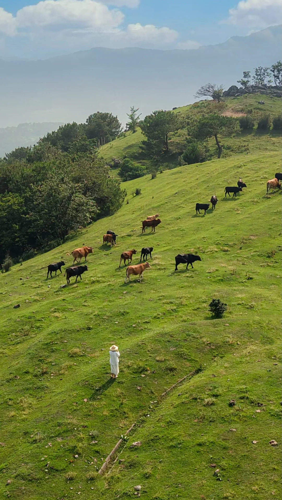 不是新疆❗️在湖北！我找到了21度神仙避暑地
