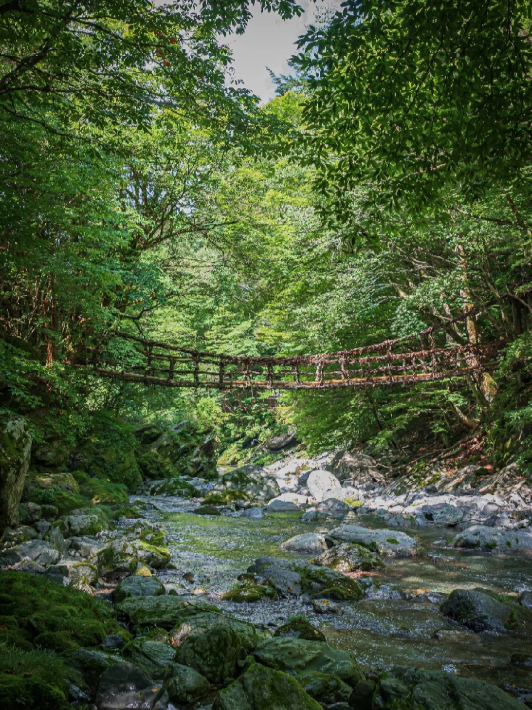 日本德岛丨恐高症慎入‼️玩的就是心跳！