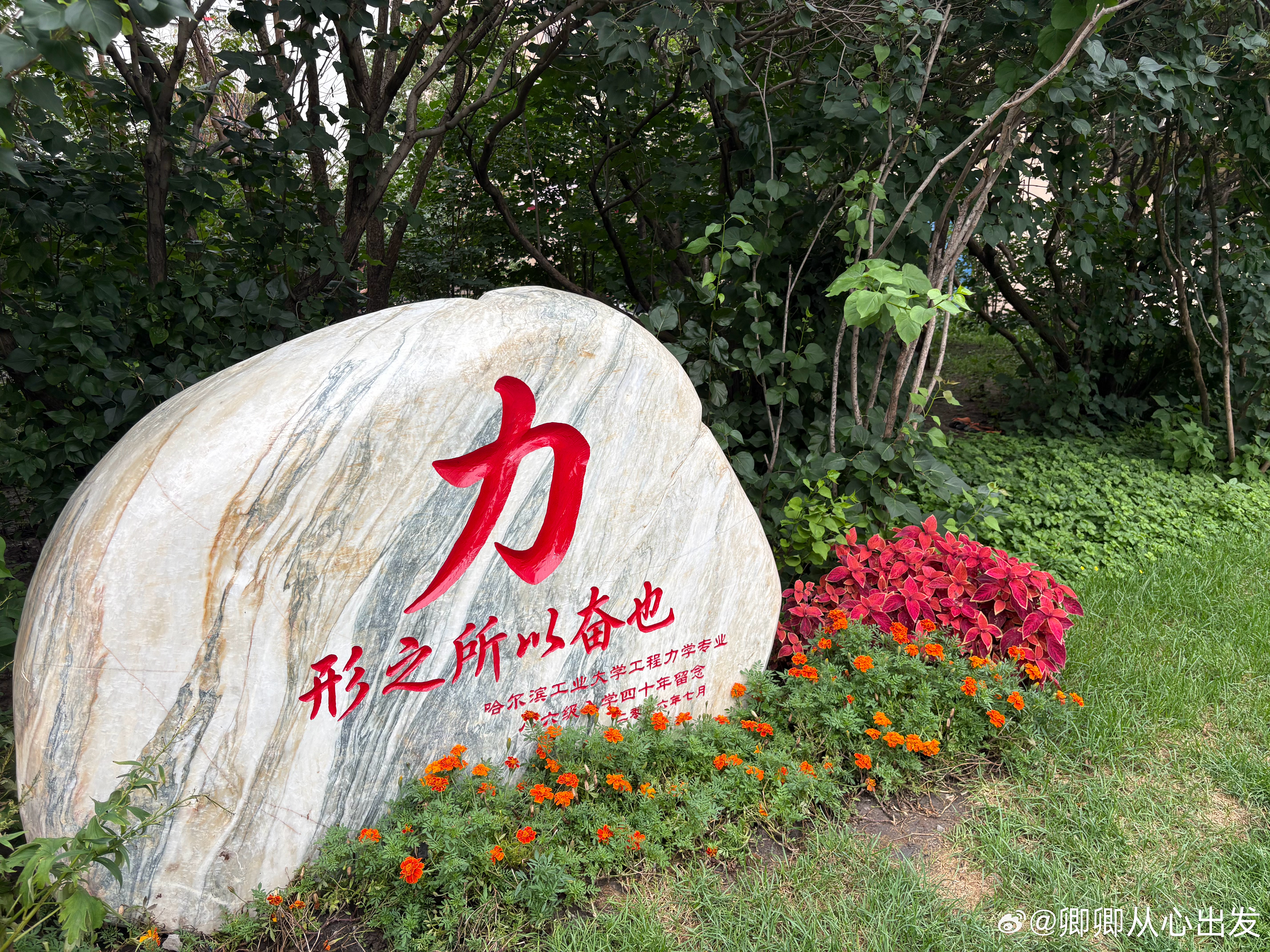 如果学校的课本身难度适中，老师讲得也够明白，课本编排也很合理。那家长根本没必要焦虑，不会到处报补课班，也不用疯狂买一堆教辅资料，孩子也不至于被压力压得要去做心理疏导。

可要是大家都不焦虑了，很多靠教育内卷吃饭的行业和人，就没有生意可做了。

想要破局，关键就是别拿别人的标准来衡量自 ​