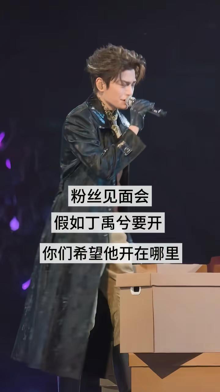 丁禹兮演唱会 丁禹兮