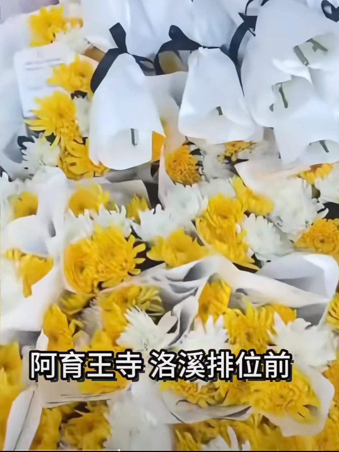 亲子博主不百当，洛熙宝贝今天三七了