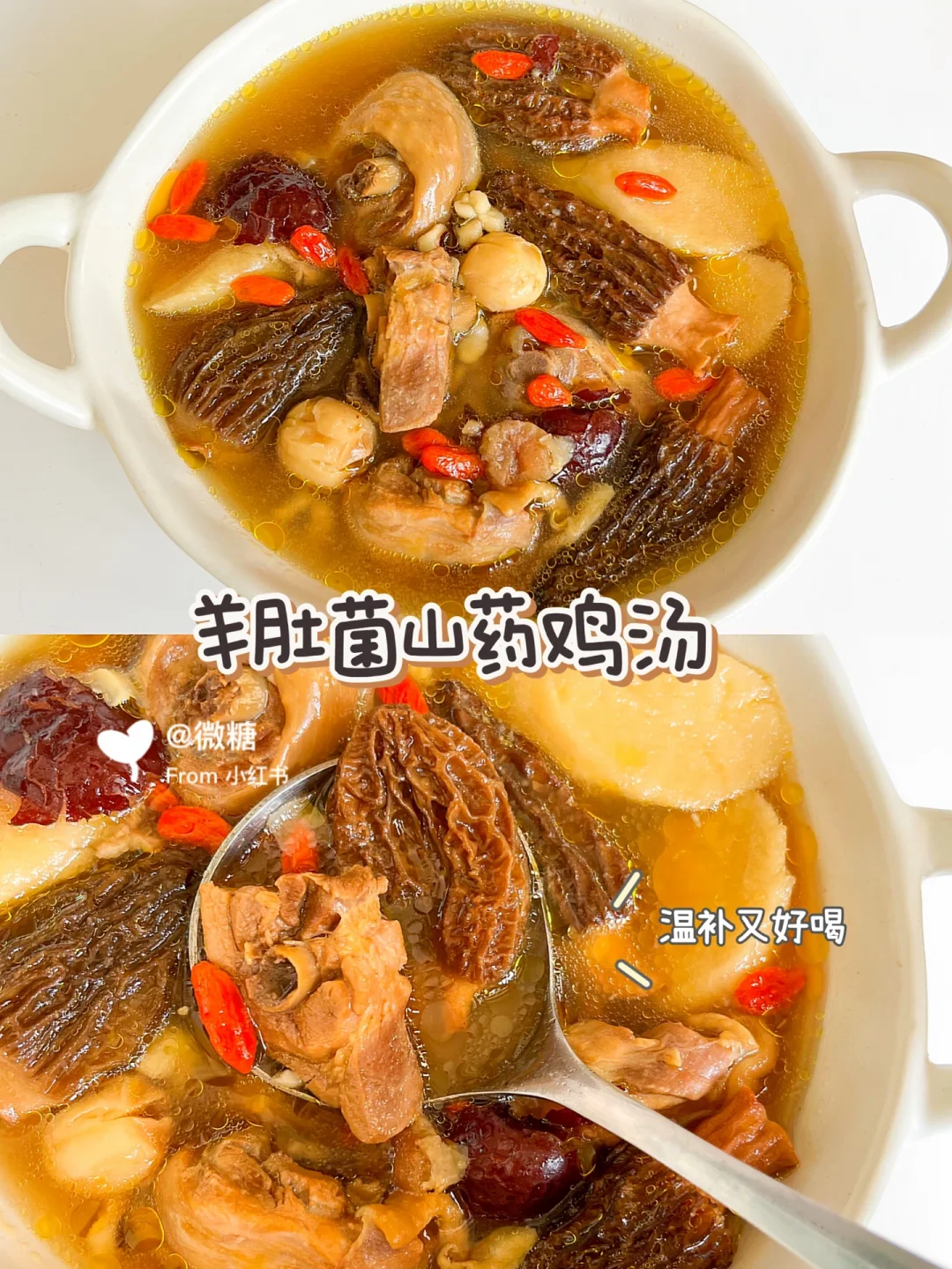 超好喝的羊肚菌鸡汤❗️营养温补，全家都爱喝