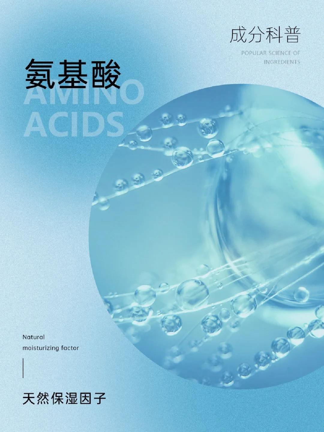 成分科普|天然保湿因子——氨基酸💧
