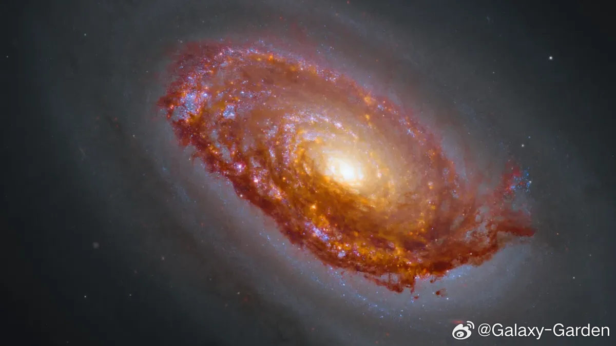 天文美图： HST和JWST联手拍摄“黑眼星系”（Black Eye Galaxy）

两台望远镜协同工作，拍摄下这颗奇特而引人探究的星系。
这张全新合成影像由哈勃空间望远镜（HST）与詹姆斯·韦布空间望远镜（JWST）共同拍摄，呈现黑眼星系。图源：NASA/CSA/ESA

功能强大的空间望远镜强强联合，往往能产出令人惊叹的 ​