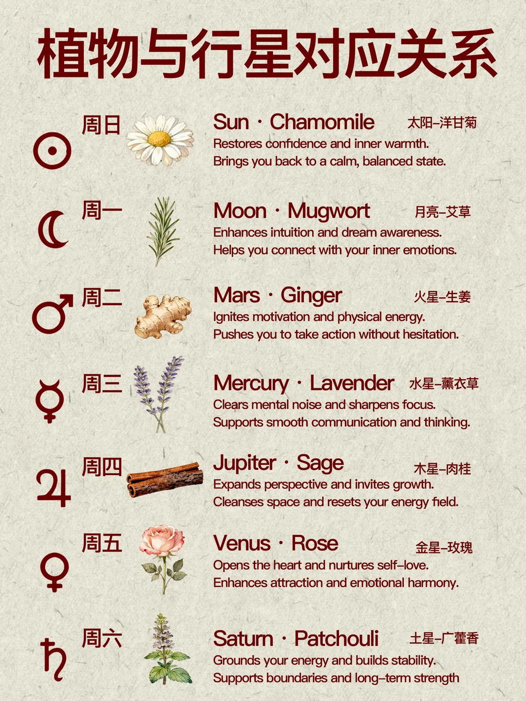 ✨你知道植物也有对应的行星🌕守护者吗？