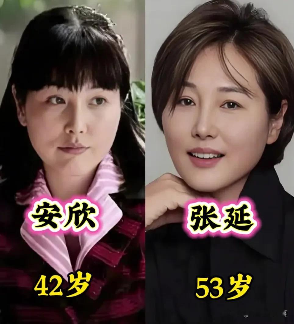 刻画入骨的戏骨—梅婷
刻画入骨的戏骨—刘琳
刻画入骨的戏骨—张龄心
刻画入骨的戏骨—张延
刻画入骨的戏骨—刘奕君
刻画入骨的戏骨—郭广平

没有轰轰烈烈，只有柴米油盐，却道尽了婚姻最真实的样子。
梅婷饰演的安杰，从娇气小姐到温润妻子，几十年光阴在她身上慢慢流淌，一个眼神就把岁月的改变演得明明白白。