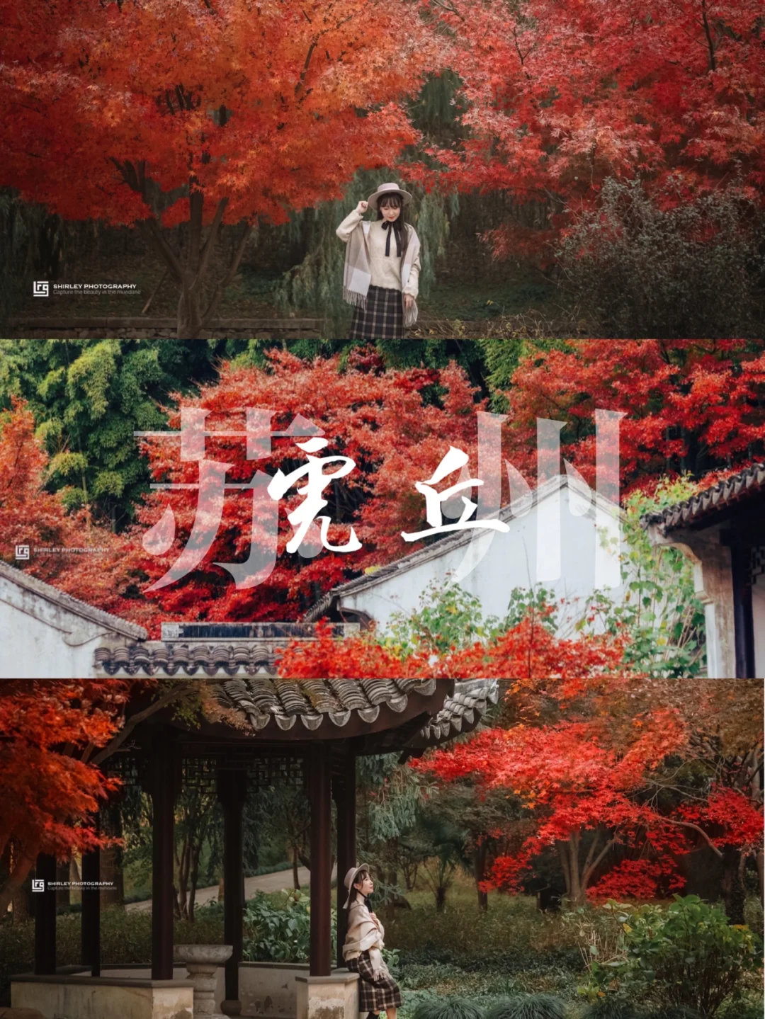 🍁你永远可以相信虎丘的秋天🍁