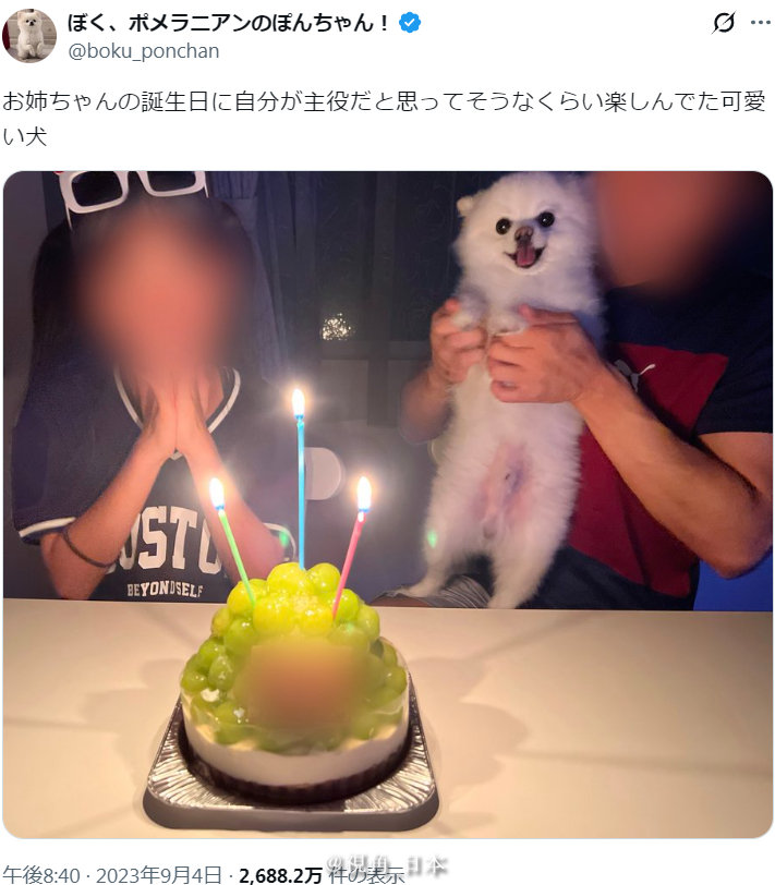 趣闻：3年前，狗狗以为自己就是主角，两眼闪闪发光（其实是姐姐生日）。3年后，狗狗已经意识到，自己只是配角。 ​