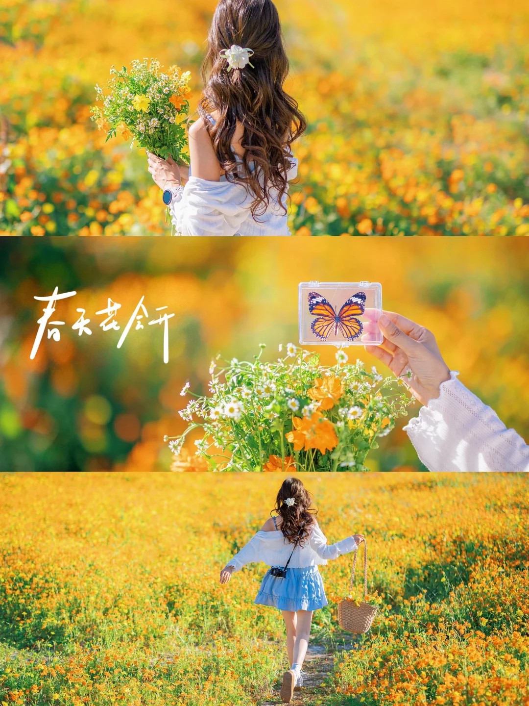 春天公园花海氛围感拍照|附滤镜调色教程