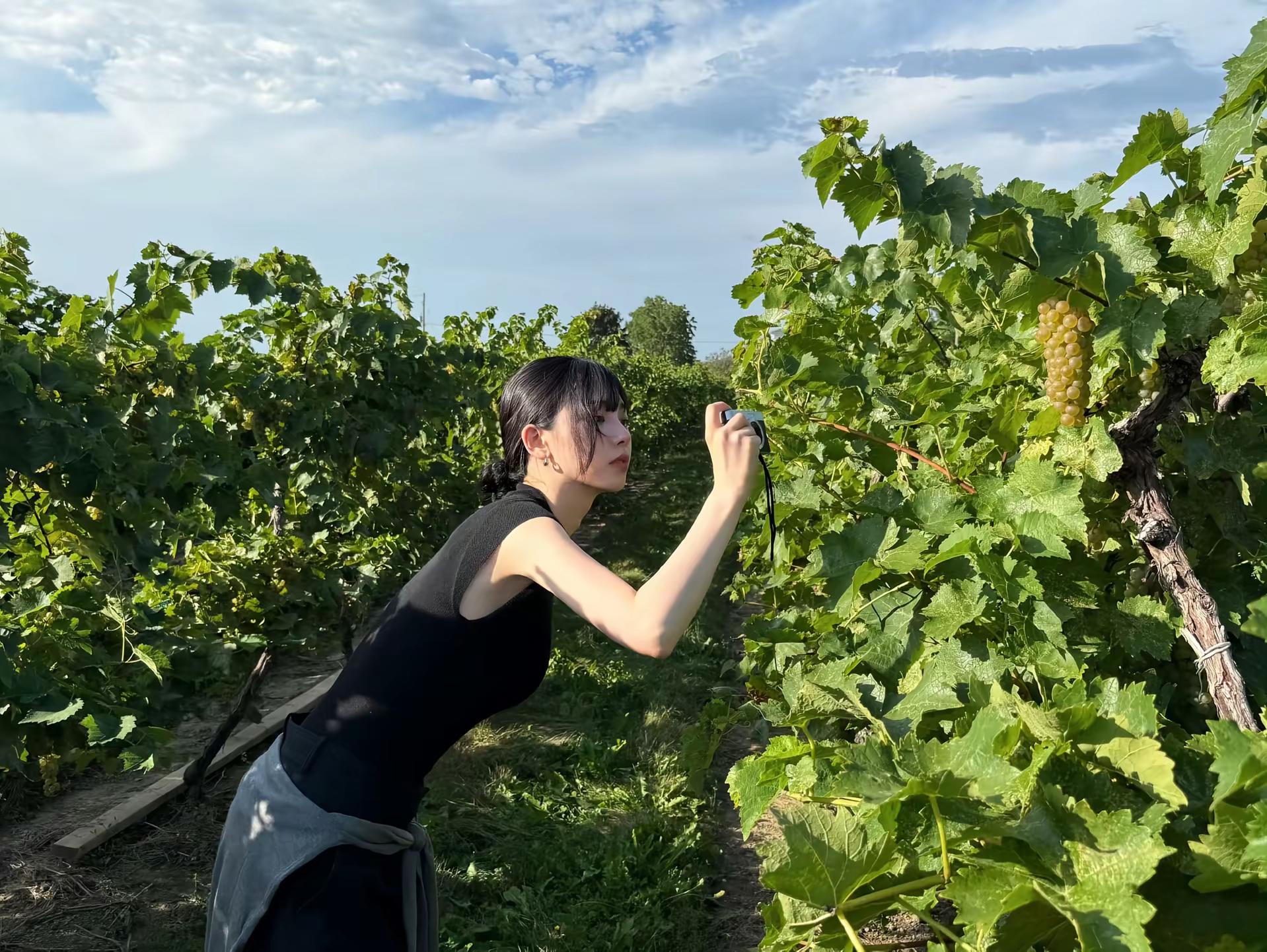 好美啊