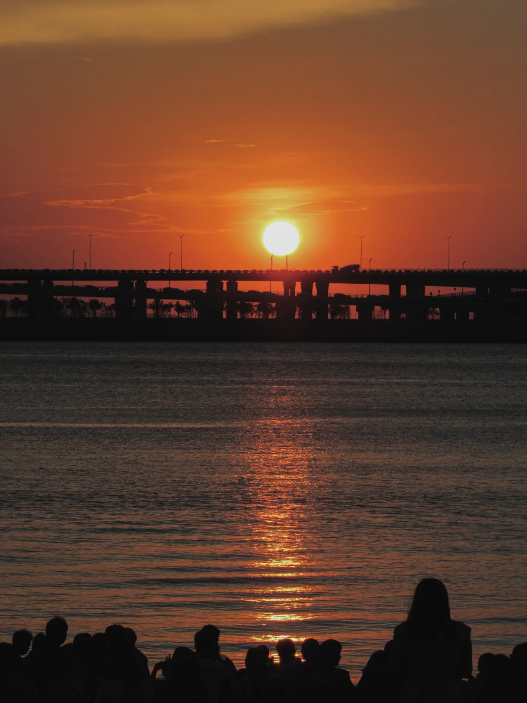 🌅深圳西湾红树林 | 日落浪漫之约