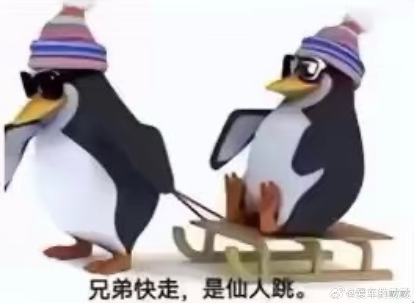 山东泰安这个案子，最让人脊背发凉的不是敲诈155万这个数字，而是据报道有三人识破敲诈拒不付钱，团伙成员直接报警诬告强奸，导致这三名受害人被采取刑事强制措施，甚至一审被判刑。仙人跳不可怕，可怕的是它把报警系统当成了敲诈工具。你付钱是受害者，不付钱反而成了“犯罪嫌疑人”，这套逻辑一旦跑 ​