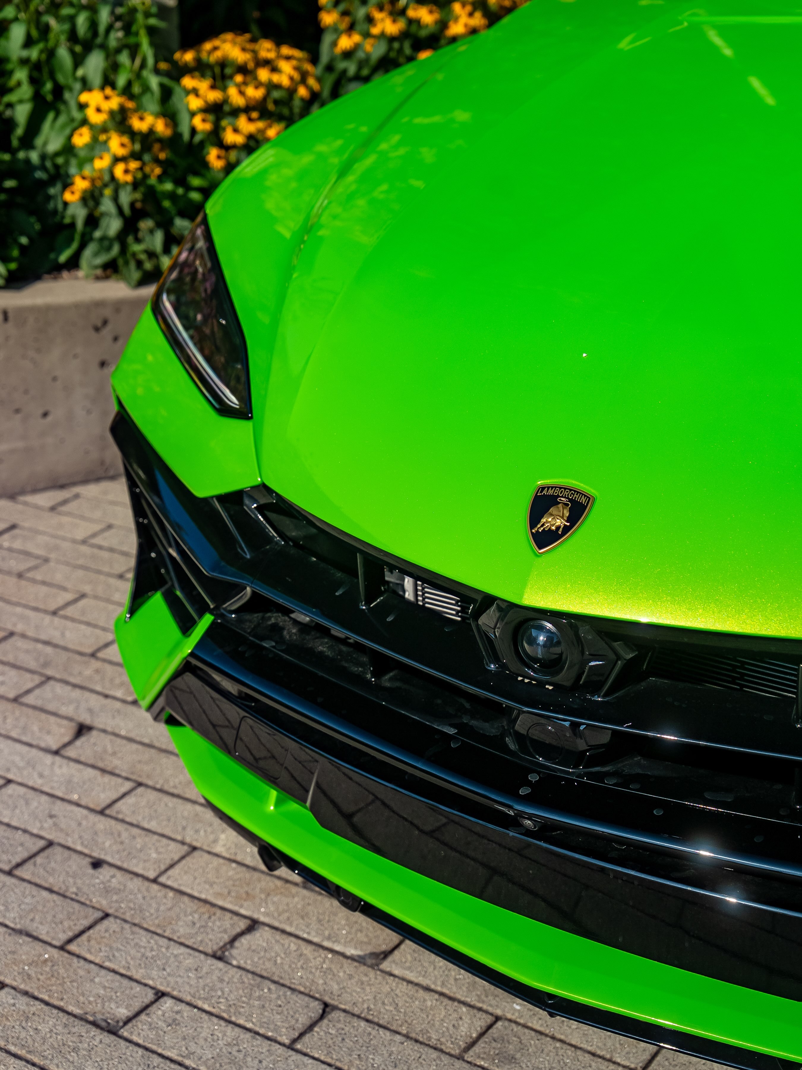 Lamborghini Urus SE 💚
#兰博基尼urus##urus# ​​​