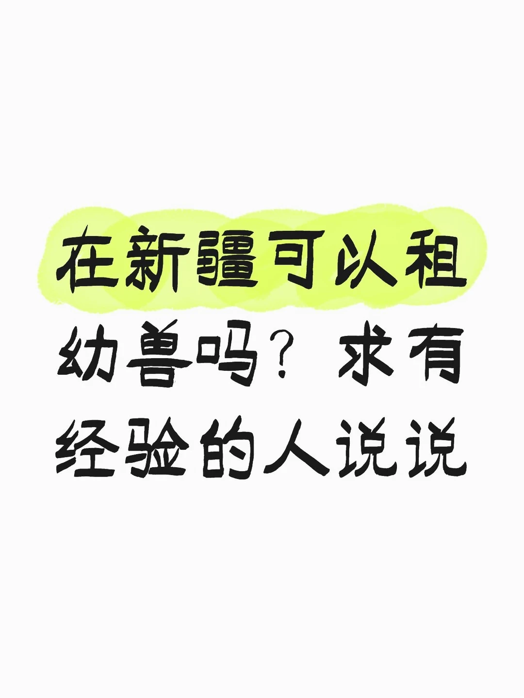 在新疆可以租幼兽吗？求有经验的人说说#不懂就问有问必答 #万能的小红书
