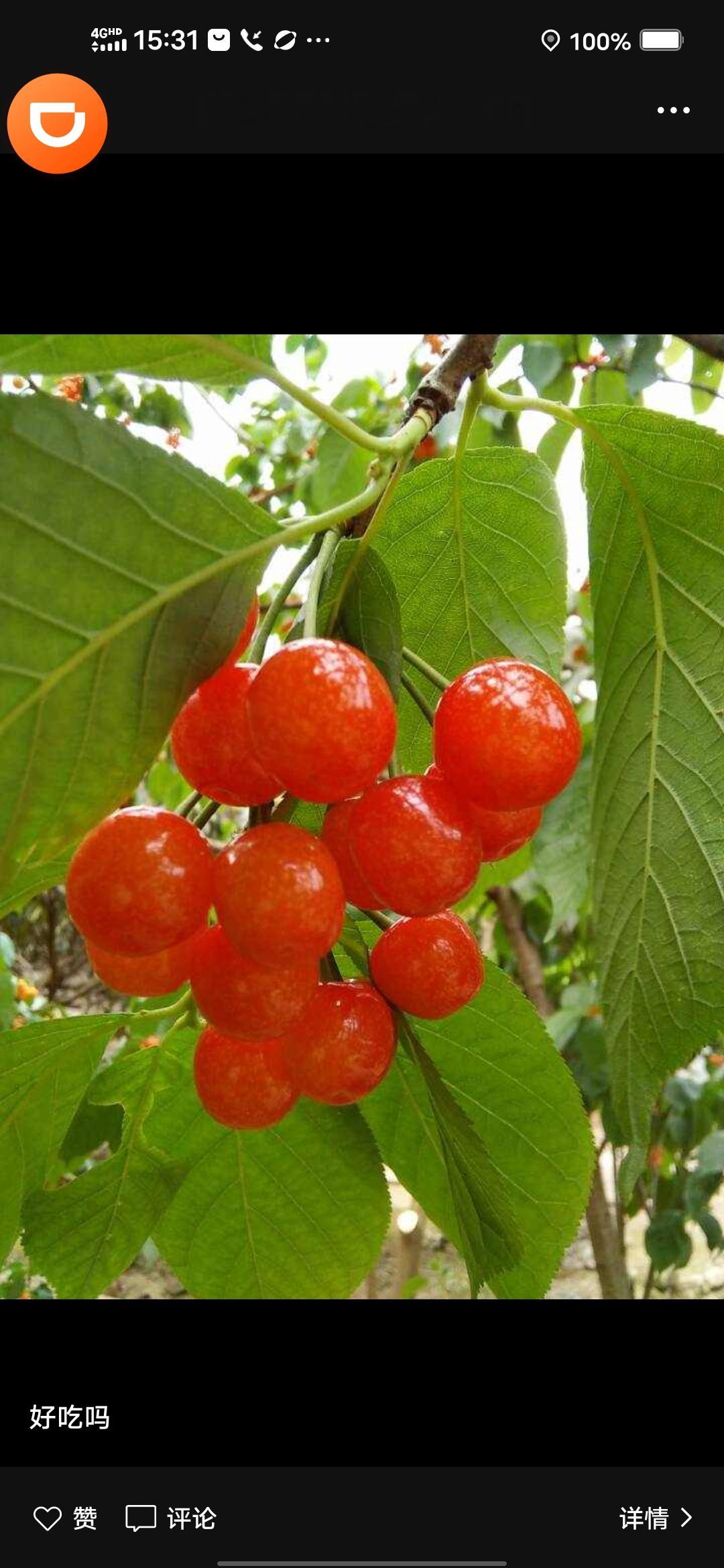 <p>你会用简易房车去旅行吗不讲卫生当和尚也不行 <!--{img:0...