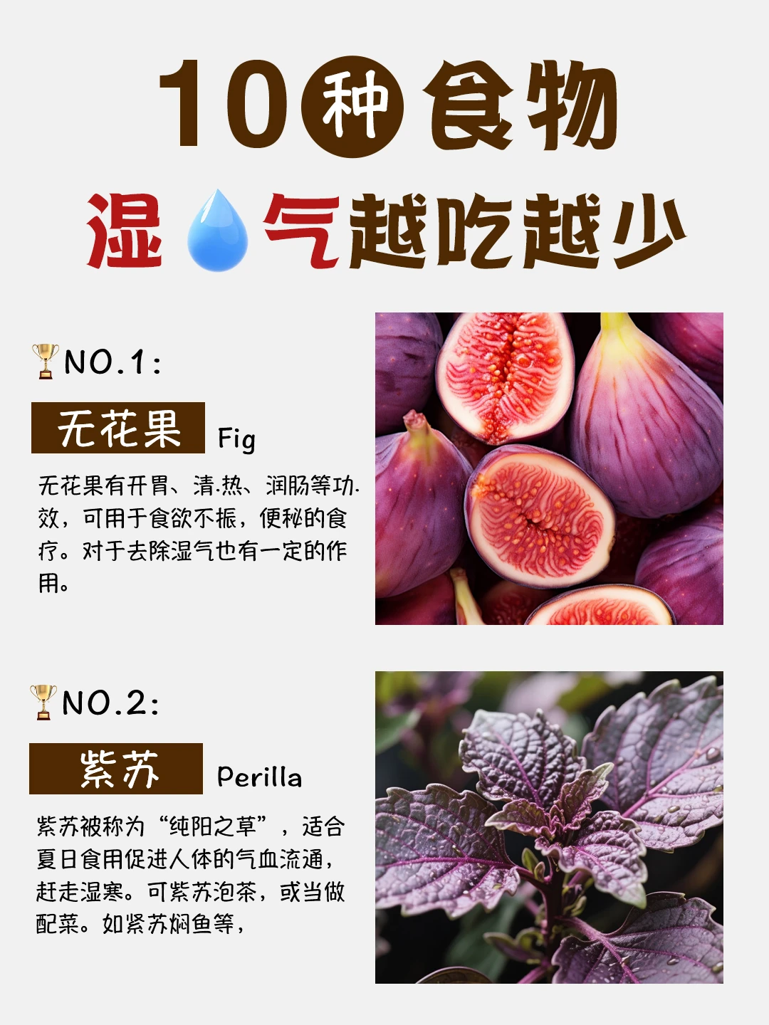 湿💦气越吃越少的10种食物！