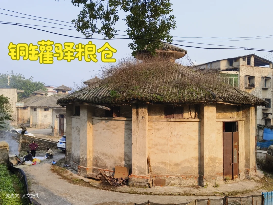 【九龙坡】铜罐驿惊现70多年前圆形粮仓群