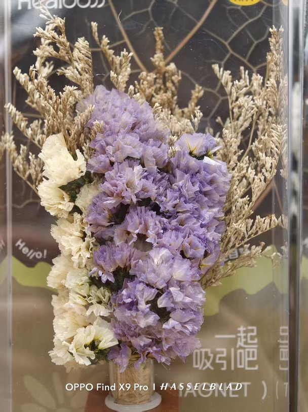时光定格，花不落幕，干花的浪漫，是长久陪伴。#OPPO原相机发力了#OPPO影像大赛#OPPOFindX10 #OPPO旅拍神器  #O粉会