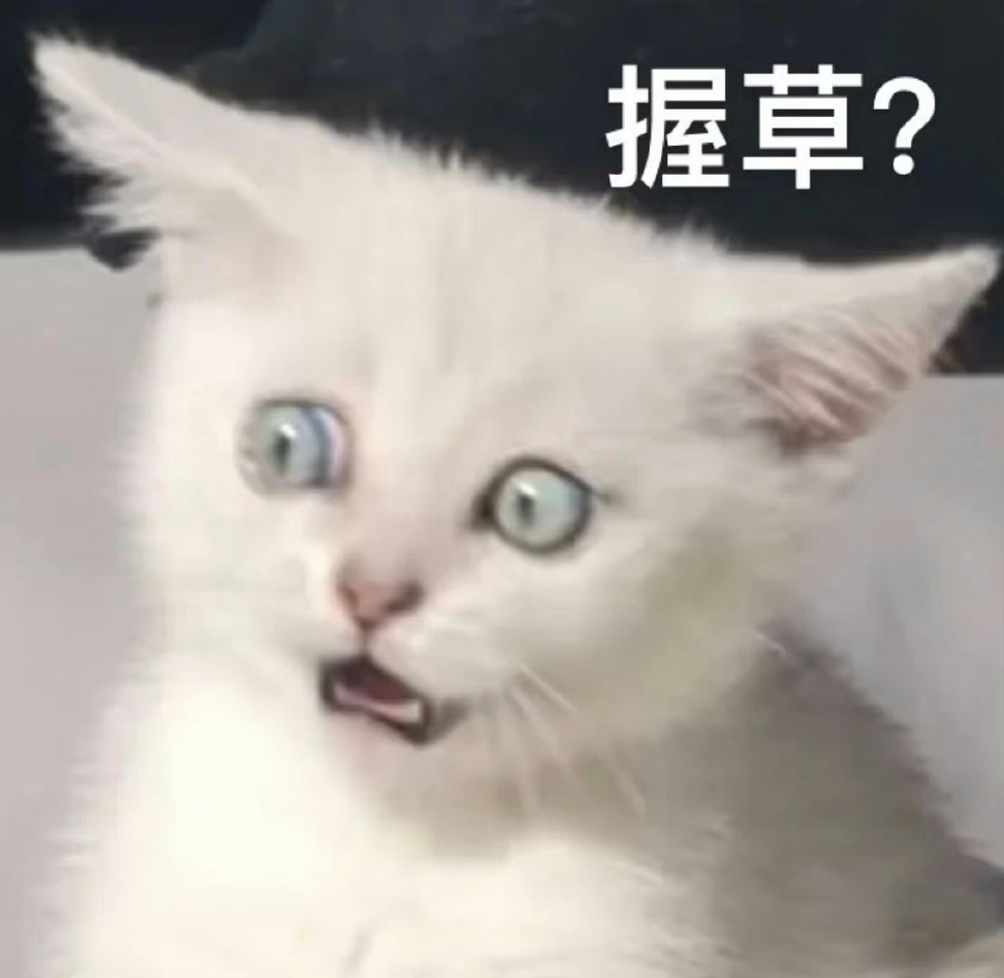 聊天秒杀表情包💥