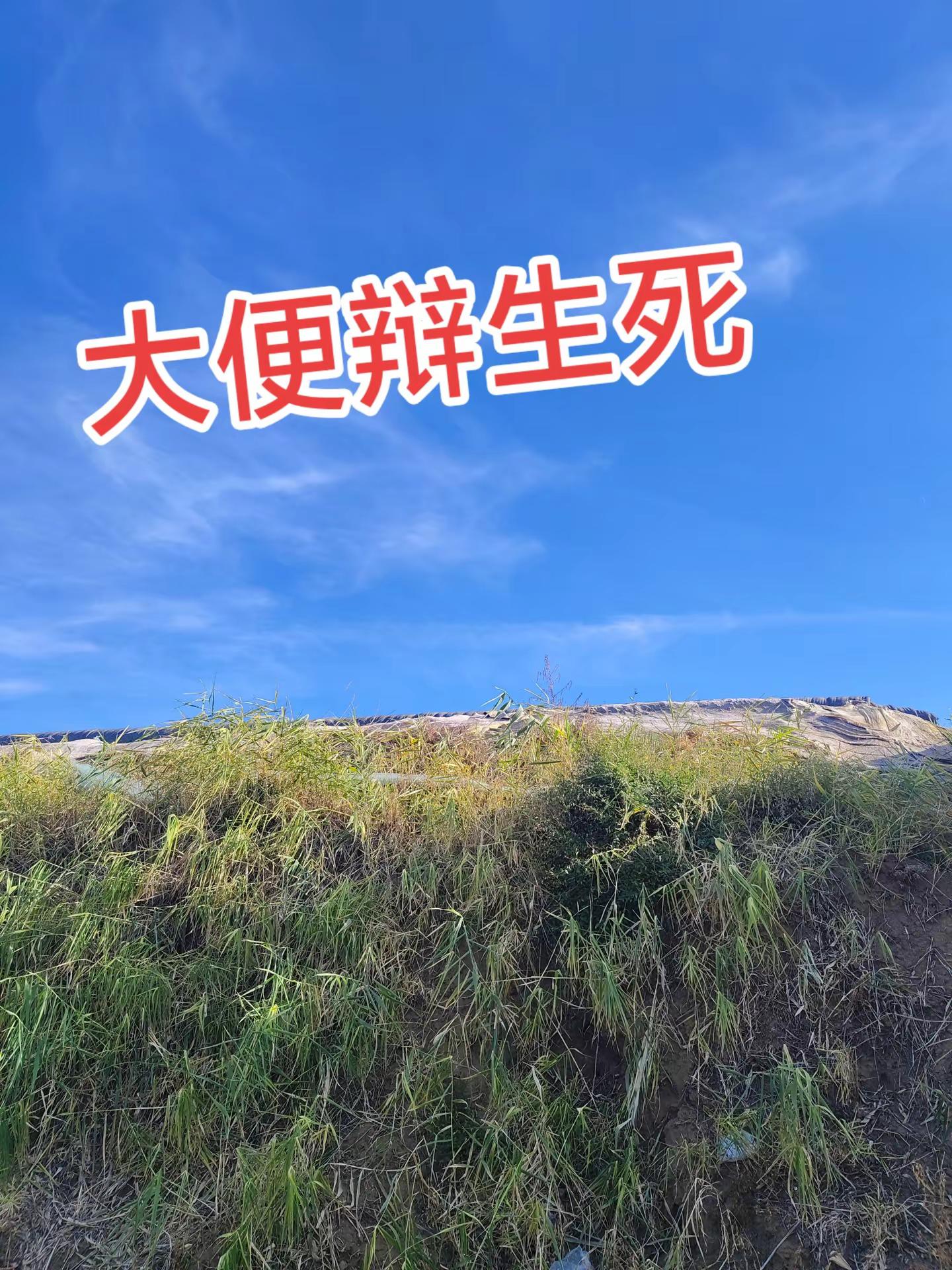 保级大战津门虎率先发力，科尔多瓦9分钟头球破门帮助球队首开纪录。保级大战津门虎率先发力 天津津门虎vs辽宁铁人 科尔多瓦9分钟头球破门