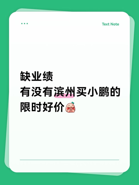 滨州买车速看🔥小鹏MONA L03十月最新政策！