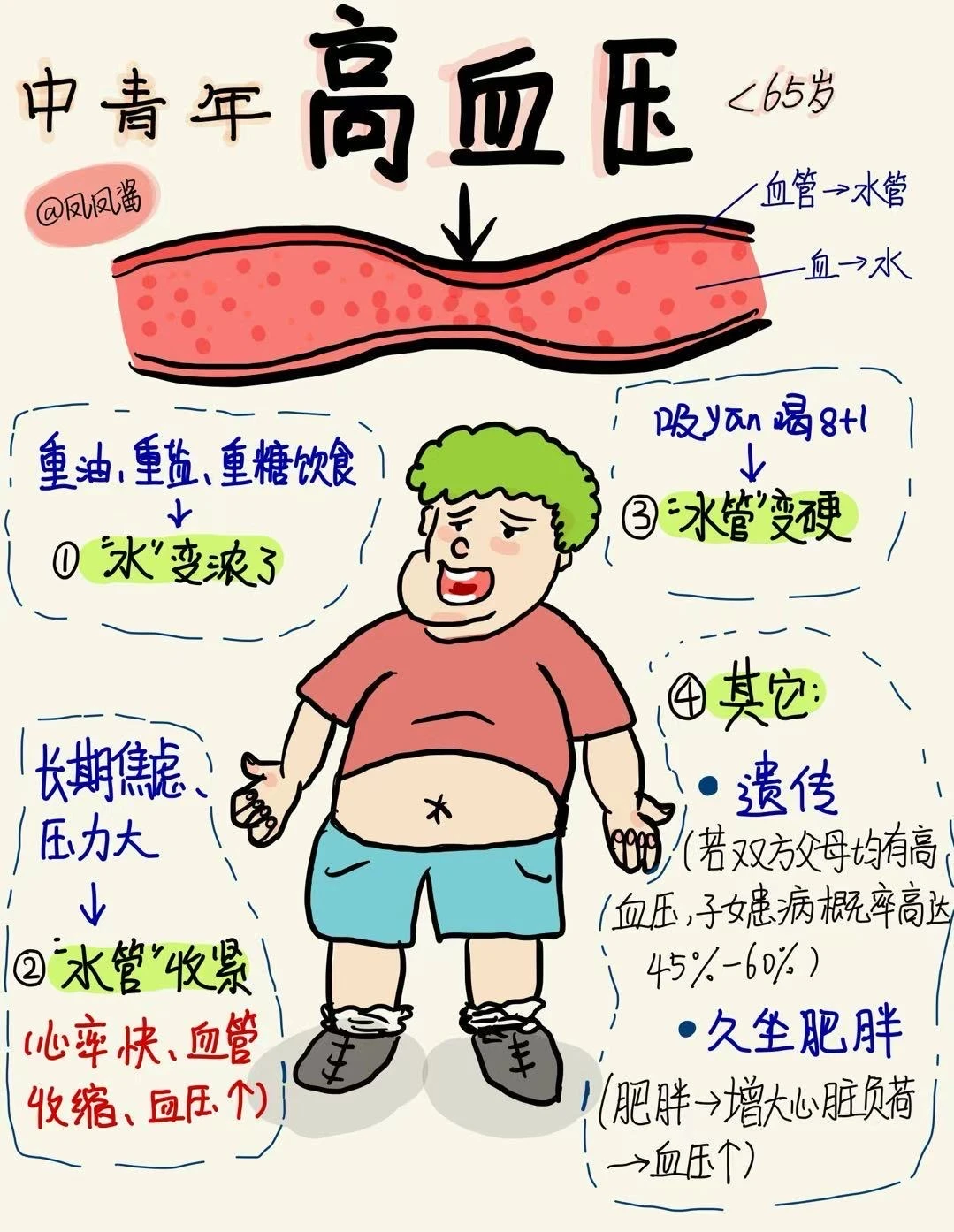 📖医学生笔记|盐酸贝尼地平 建议点赞收藏