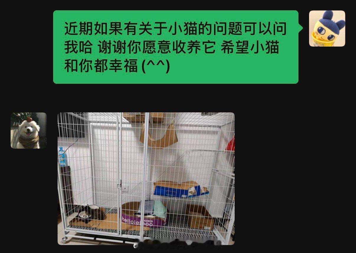 📝：给捡到的流浪猫找到了领养!   
第一次真正做这种对流浪动物有帮助的事 有很奇妙的感觉 看到原本会冻死的猫猫有家了甚至有点想哭🥲  
“地球上所有的生命都平安，健康，顺利，幸福” ​