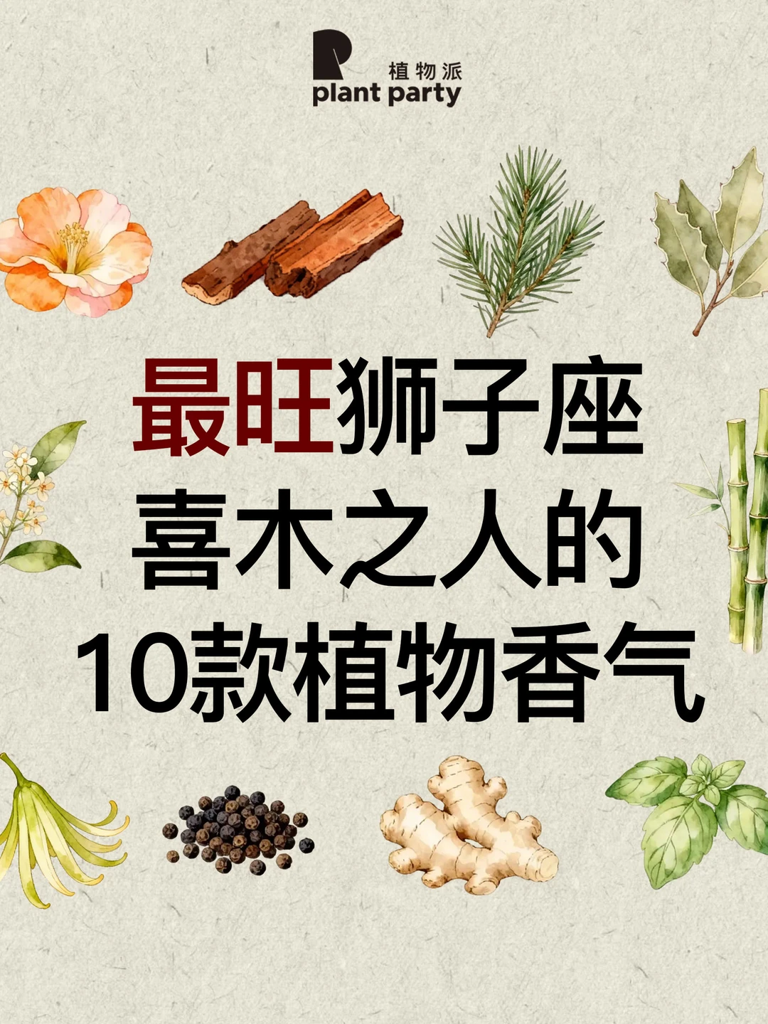 自然疗愈｜狮子座喜木之人最适合的香气