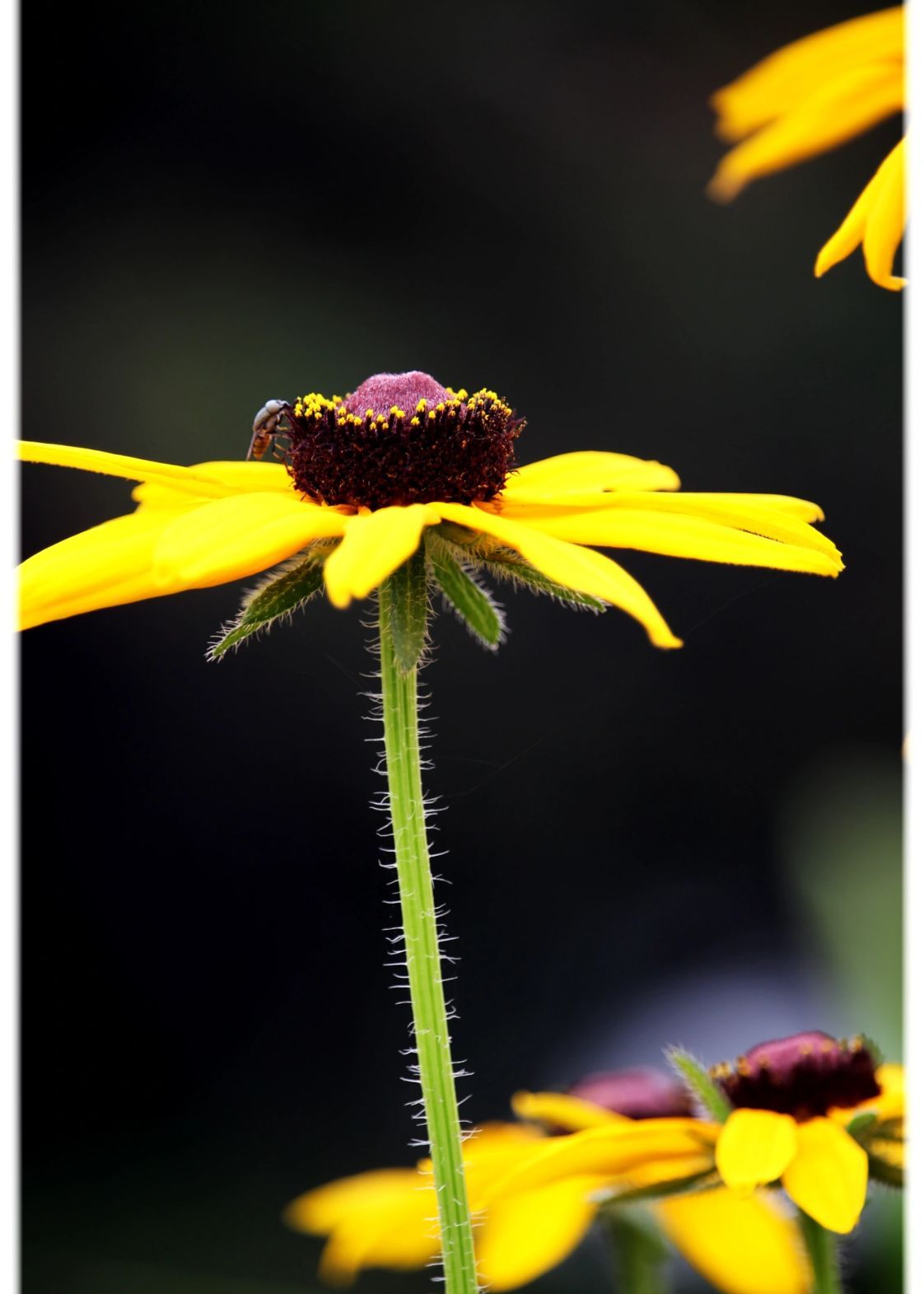 当你看透人性的本质，你的人生就能少走10年弯路！ 别再纠结人性善恶了。...