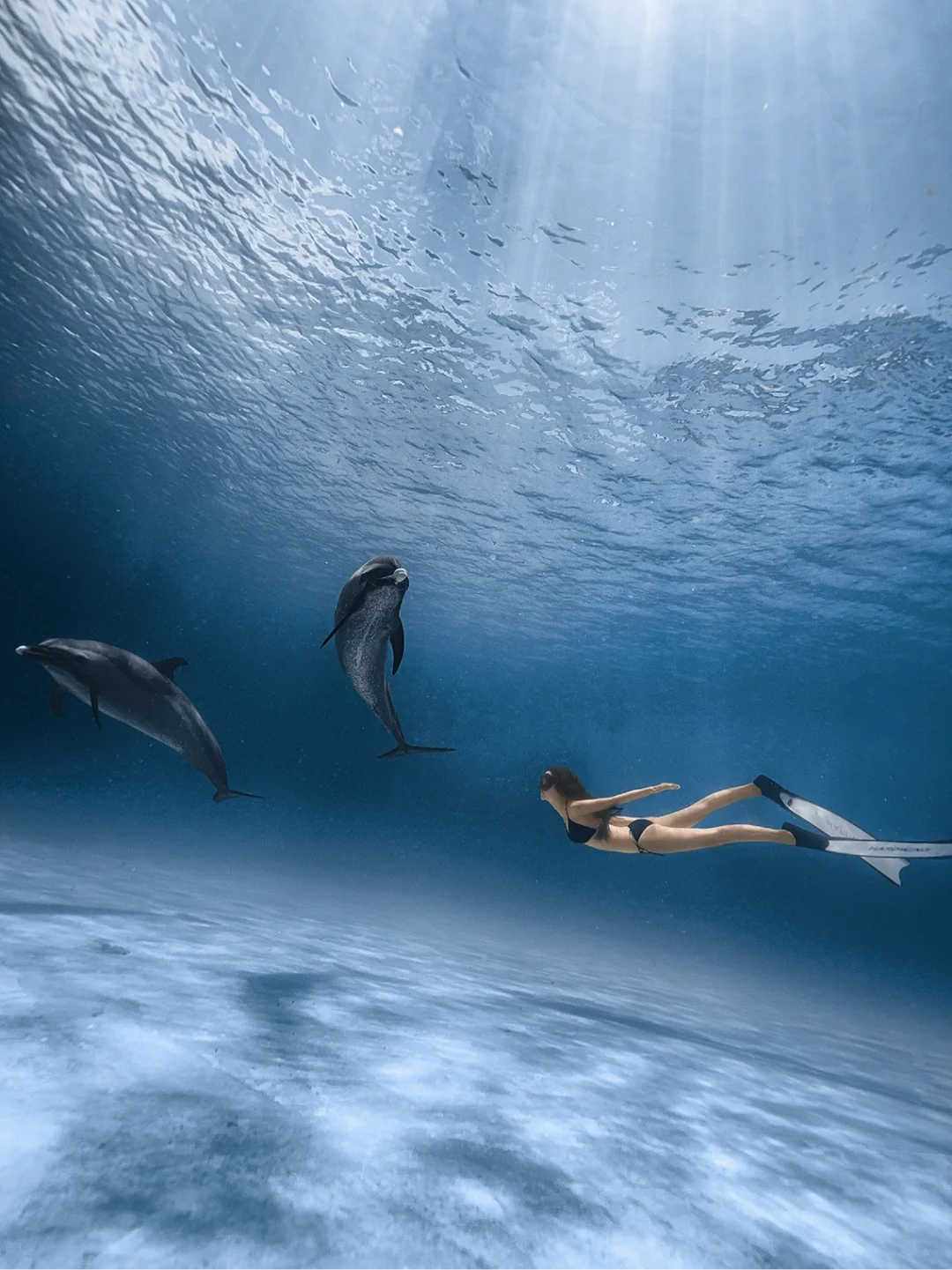 三亚旅行｜不会游泳一样可以与海豚🐬共舞