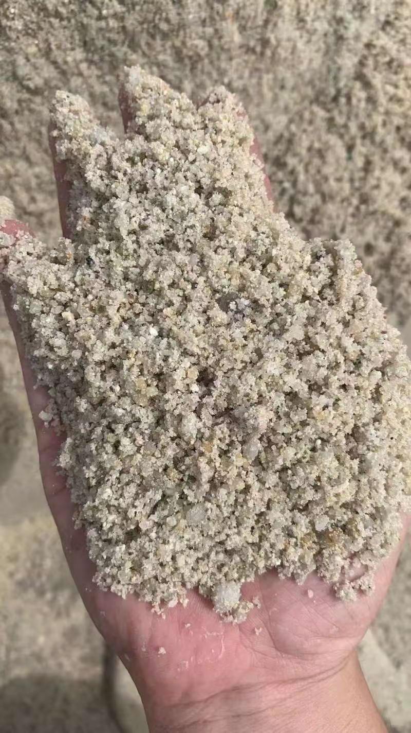 地沙。白云区有优势