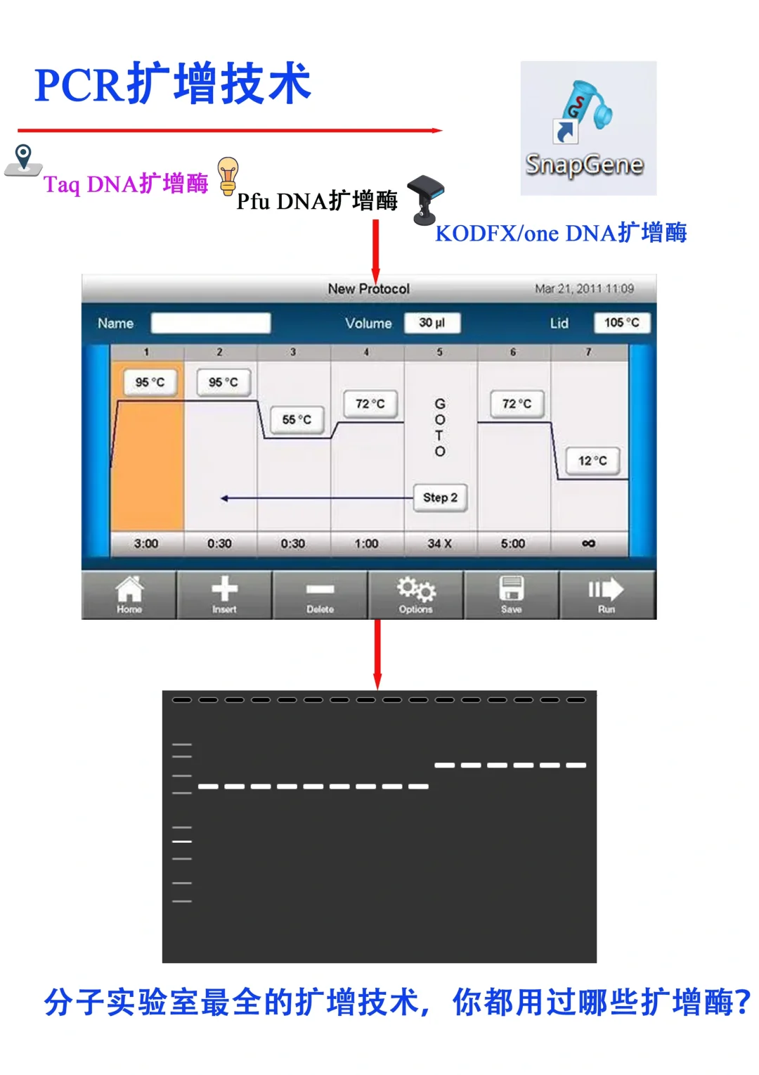 做了这么久的PCR，它的原理你真的搞懂了嘛？