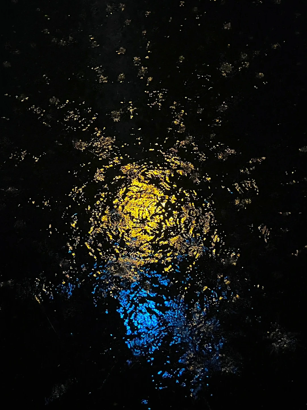 Live图 | 雨是神的烟花🎆