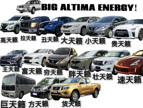 盘点天籁大家族哈哈哈