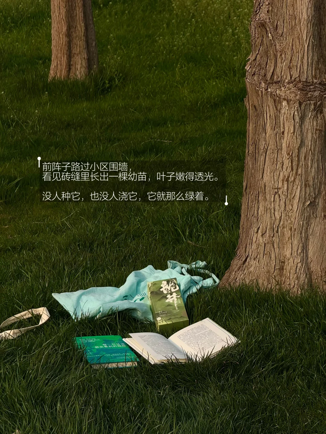 人类为何迷恋绿色。