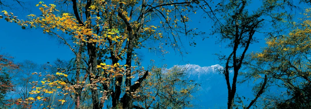 在九顶山遥望，一直望到蓝天的尽头