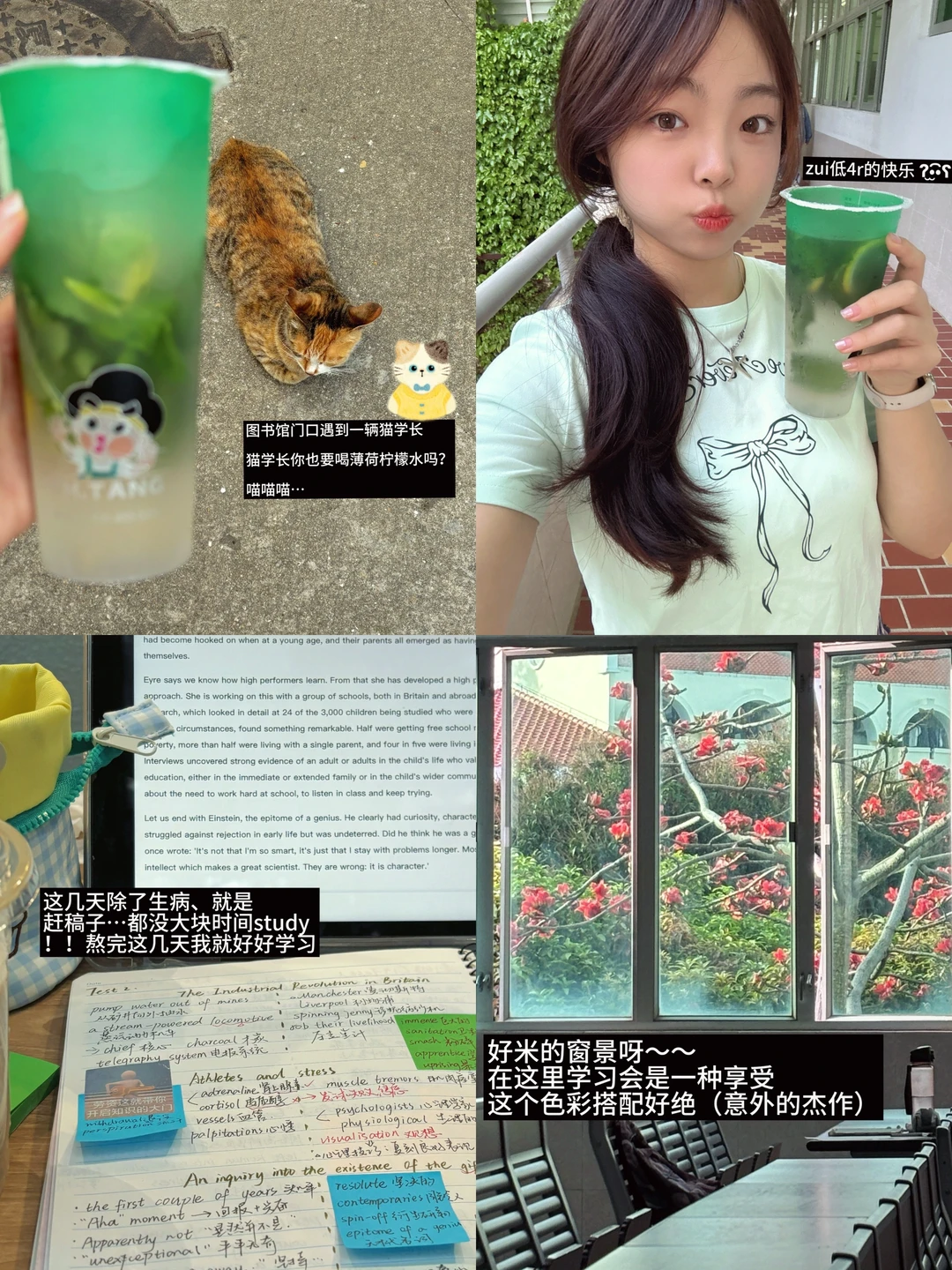 边读研边养活自己 | zui低4r的薄荷柠檬水…
