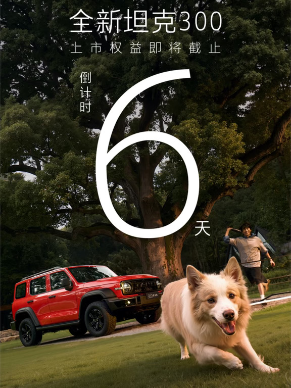 🔥全新坦克300｜上市权益倒计时6天❗手慢无