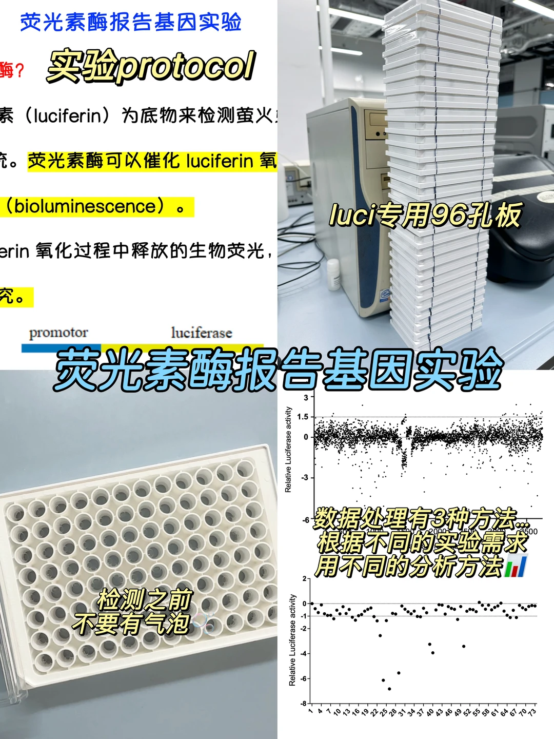 大家蹲的Luci荧光素酶报告基因实验，来了❗️