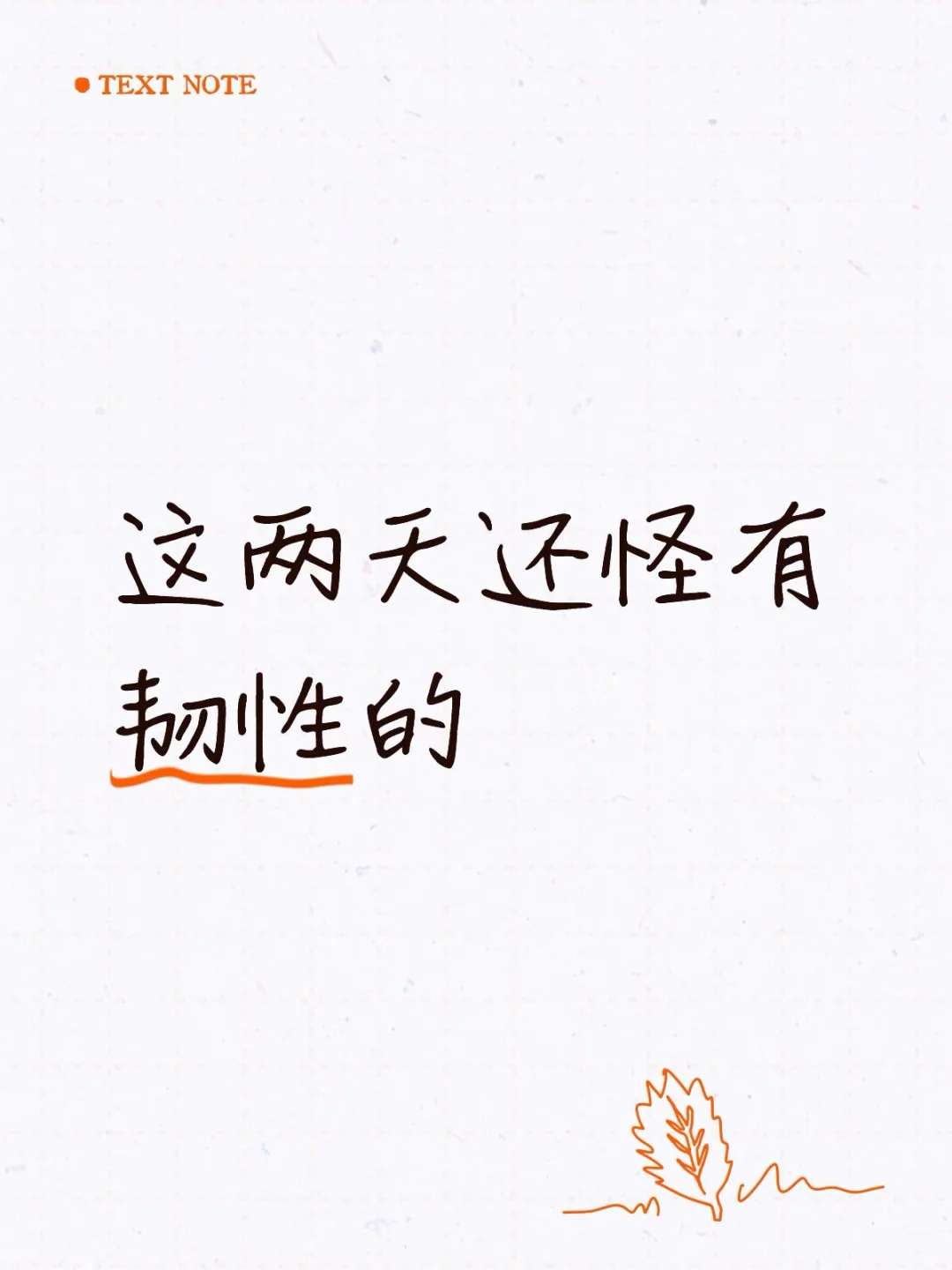 早早早！